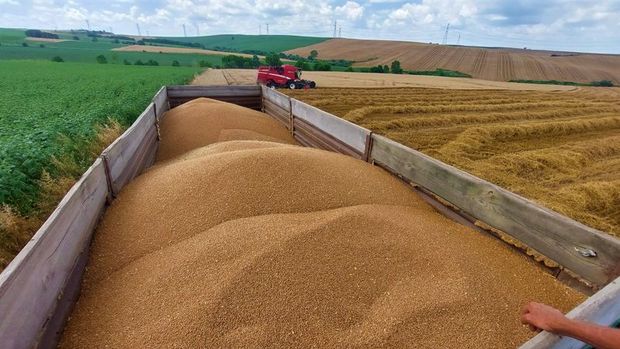 TMO, 385 bin tonluk buğday ithalatı ihalesinde teklifleri topladı