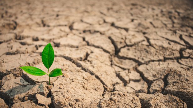 TZOB Başkanı Bayraktar: 2022'de ciddi bir kuraklık yaşayabiliriz