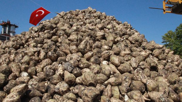 TürkŞeker'in 2022 şeker pancarı alım fiyatı belli oldu