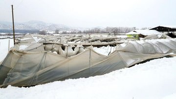 Yoğun kar yağışı seralara zarar verdi