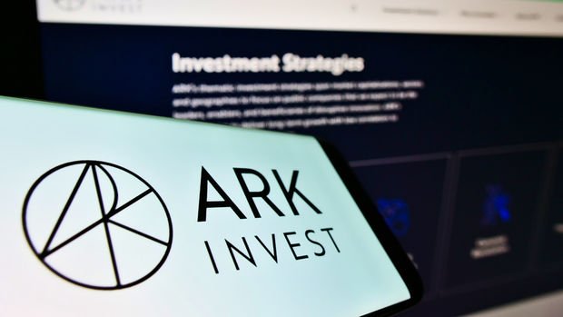 Ark Invest/Wood: Teknoloji hisseleri değerinin çok altında