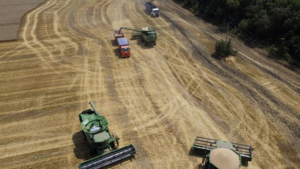 Ukrayna 2022'de daha fazla tahıl ekecek, mısır ve ayçiçeğini azaltacak