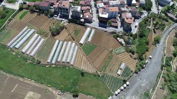 İstanbul'daki tarım alanlarının yüzde 37'si kentleşme tehdidi altında