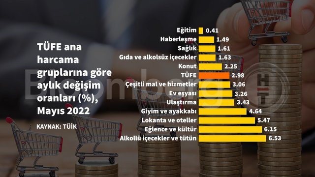 10 grafikte Mayıs enflasyonu