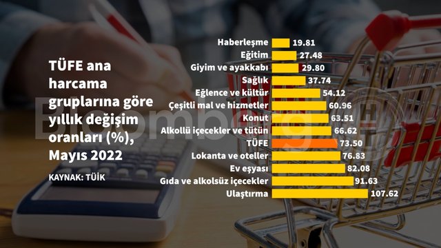 10 grafikte Mayıs enflasyonu