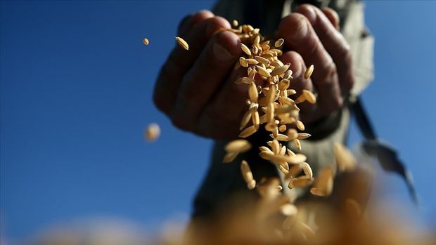 Yemen'den buğday çağrısı