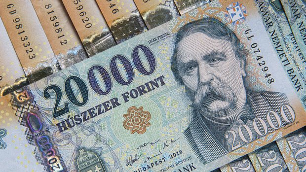 Macaristan'da enflasyon 24 yılın zirvesinde