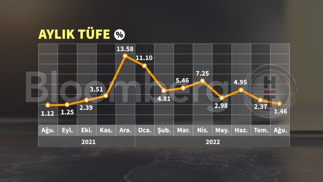 10 grafikte Ağustos enflasyonu