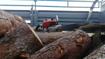 Odun şirketlerinin hisseleri yüzde 700 arttı