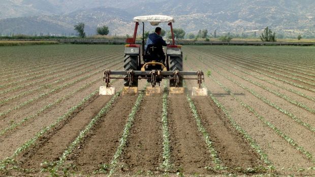 Tarımda üretici enflasyonu yüzde 156'ya çıktı