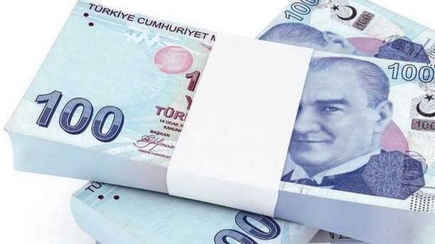 Türkiye Kalkınma ve Yatırım Bankası sermayesini bedelli %25 artıracak