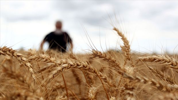 Rusya tahıl koridoru anlaşmasına katılımını askıya aldı 