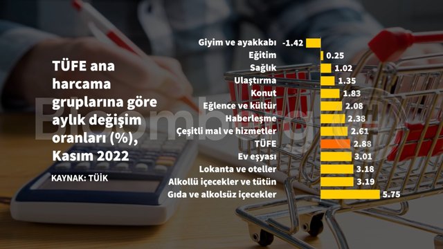 10 grafikte Kasım ayı enflasyonu