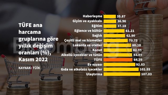 10 grafikte Kasım ayı enflasyonu