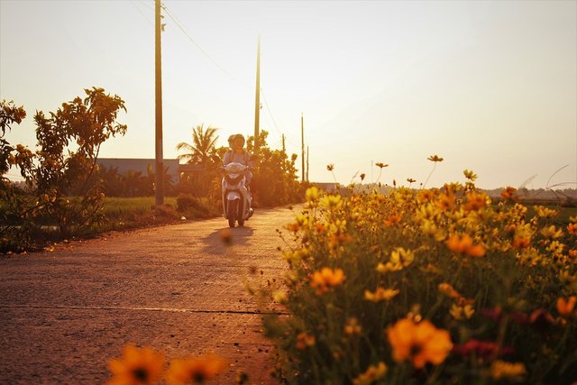 Hangi araç için ne kadar motorlu taşıtlar vergisi ödenecek?