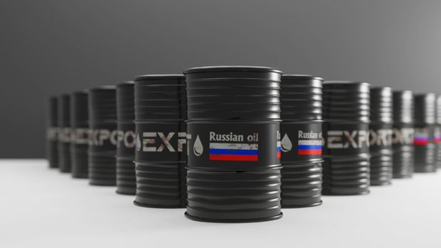 Novak: Rusya ham petrol ihracatını artırabilir