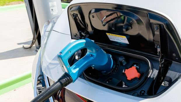 Deloitte: Düşük yakıt maliyeti araç tercihini belirliyor