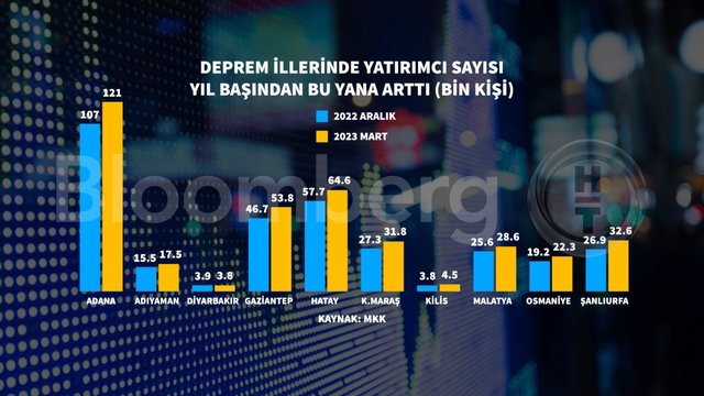 7 grafikte borsada yatırımcı profili