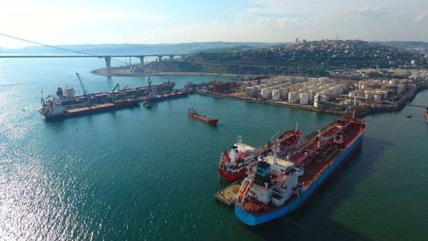 Rusya: Karadeniz tahıl gemisi denetimleri yeniden başladı-RIA