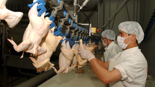 Tavuk eti “ihracı kayda bağlı mallar listesine” eklendi