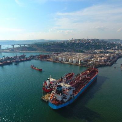 Rusya/Verşinin: Tahıl anlaşmasının uzamasını olası görmüyoruz
