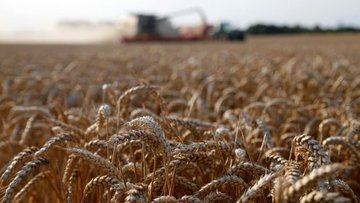 Ukrayna'da baraj çöktü, buğday fiyatları sıçradı