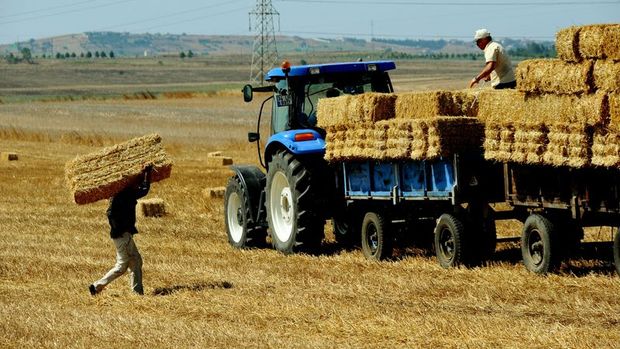 Tarım-ÜFE Mayıs'ta aylık yüzde 2,14 arttı