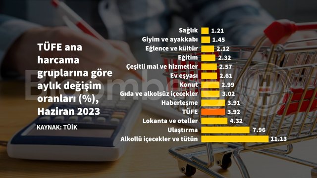 Grafiklerle Haziran ayı enflasyonu