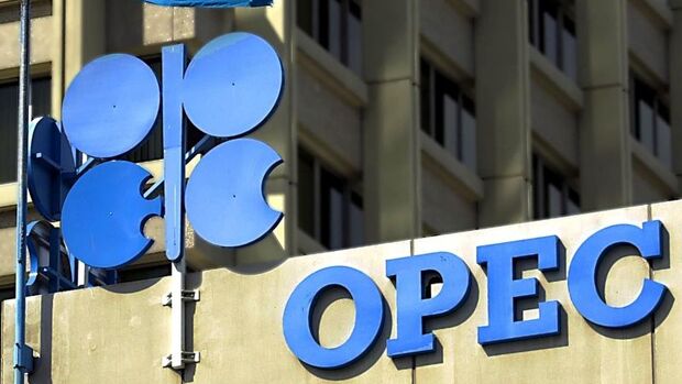 OPEC 4 ülkeyle üyelik için görüşmeler yapıyor 