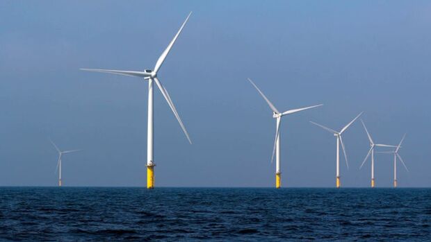 TotalEnergies ve BP, Almanya'da rüzgar ihalesi kazandı