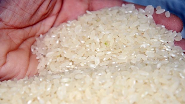 Pirinç ithalatında gümrük vergisi yüzde 45'e çıkarıldı
