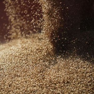  İngiltere'de küresel gıda güvenliği zirvesi düzenlenecek