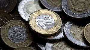 Polonya'nın 1 numaralı para otoritesinden şahin çıkış