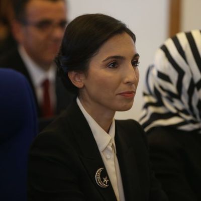 TCMB Başkanı Erkan: Enflasyon eşik değerlere gerileyene kadar büyümeden ödün vermeden de dezenflasyon sağlanabilir