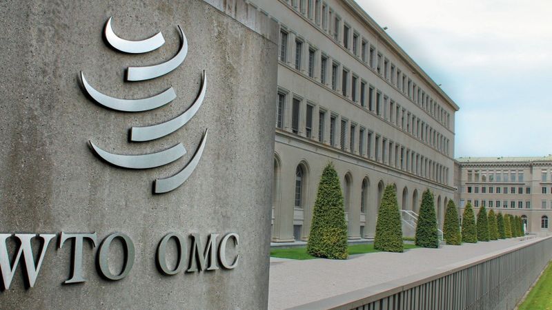 Sam Amca Mahkemeyi Neden Yaktı?
