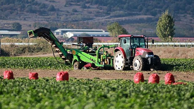 Türkiye'nin Sudan'daki tarım şirketi tasfiye ediliyor