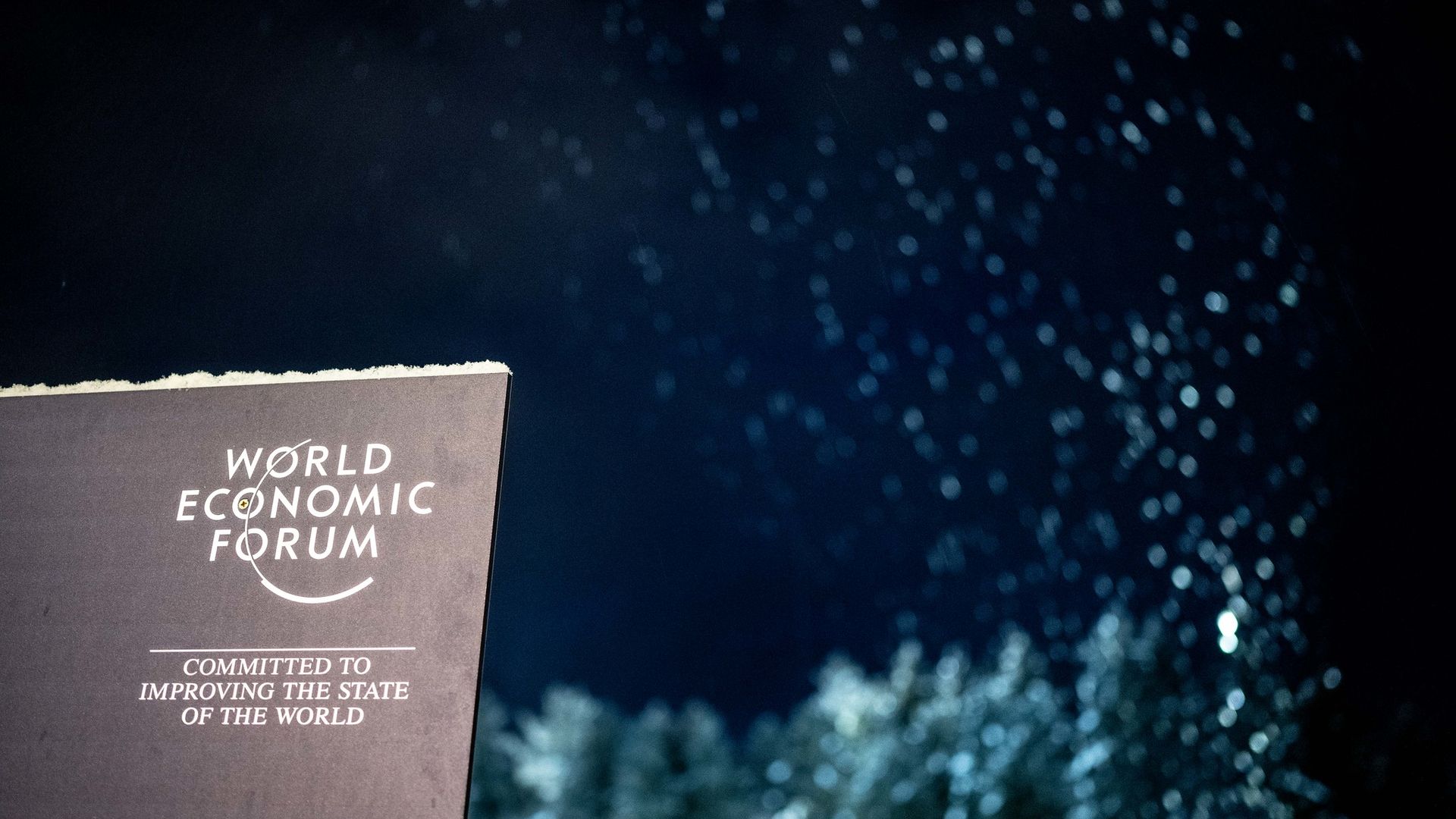 Dünya Ekonomik Forumu, Riskler ve Otomotiv Ekosistemi