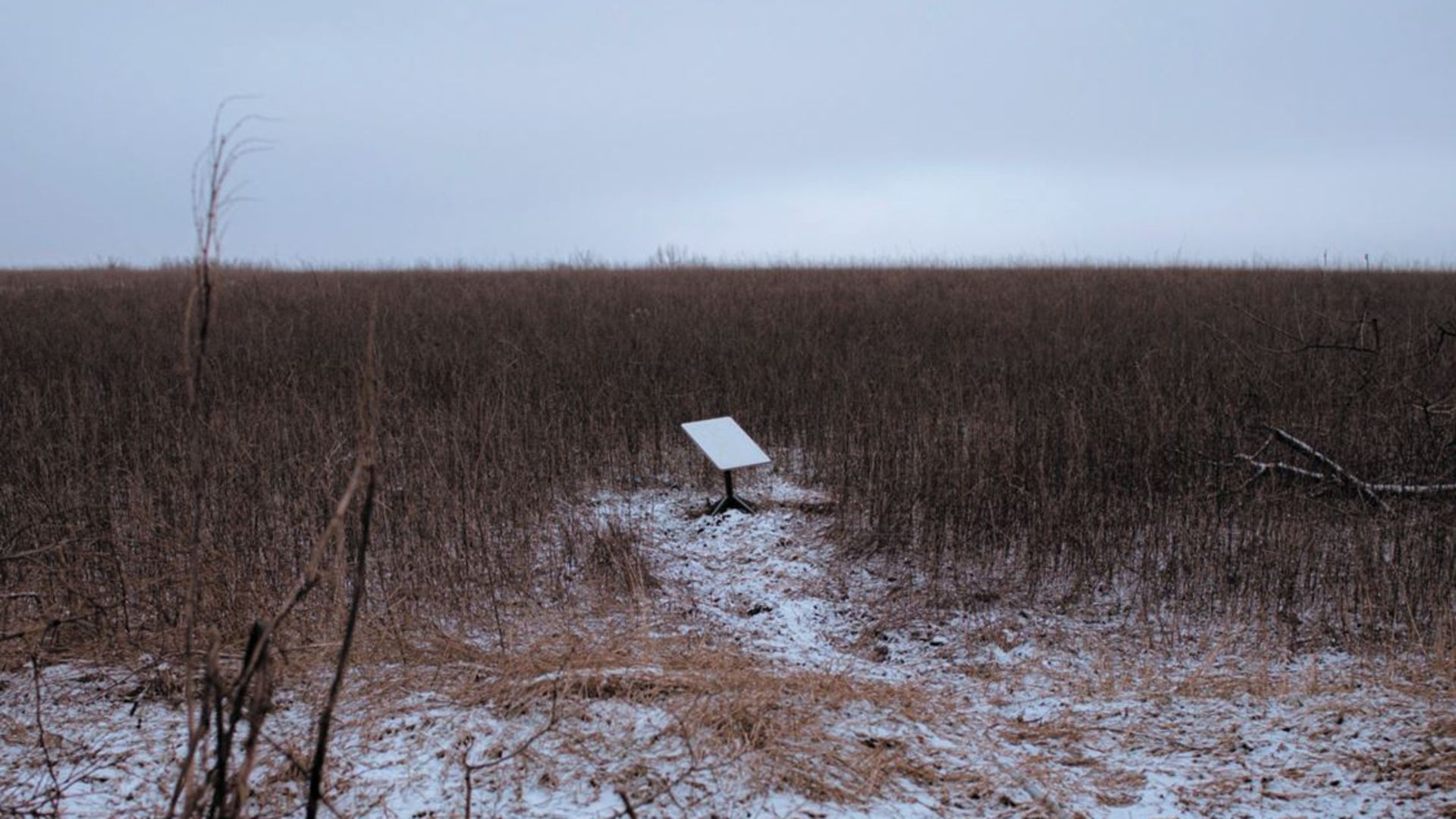 Musk’ın Starlink Terminalleri Yanlış Ellere Düşüyor