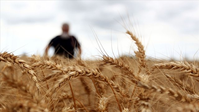 Mart'ta yabancının en çok alım-satım yaptığı hisseler