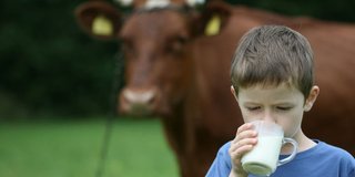 USK, çiğ süt referans fiyatını yüzde 8,5 artırdı