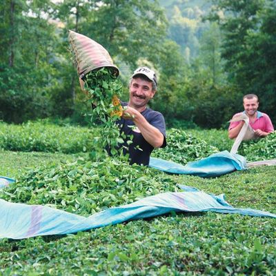 Nostalji: Türkiye, Tarımda Kendi Kendine Yetebilen Yedi Ülkeden Biridir