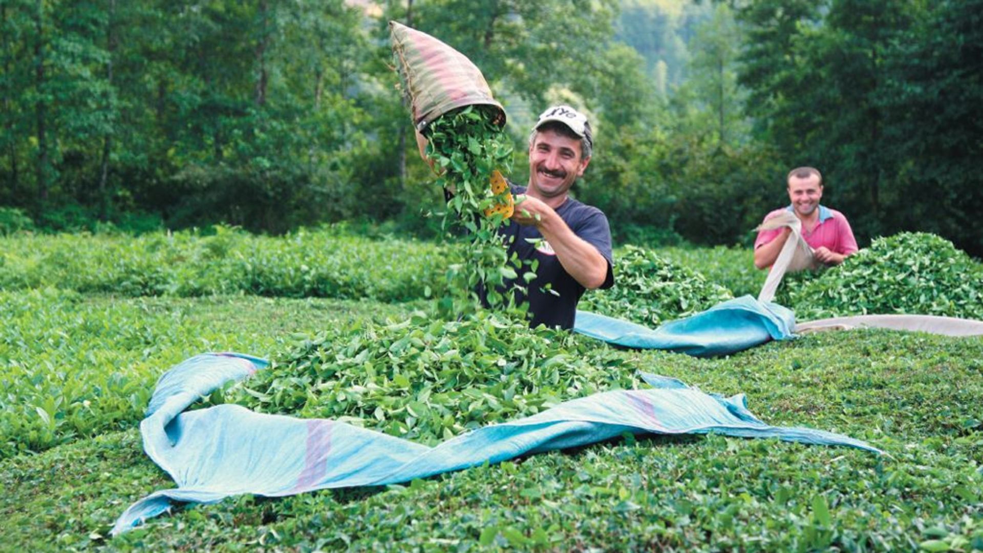 Nostalji: Türkiye, Tarımda Kendi Kendine Yetebilen Yedi Ülkeden Biridir