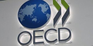 OECD Türkiye’nin 2024 büyüme tahminini yükseltti