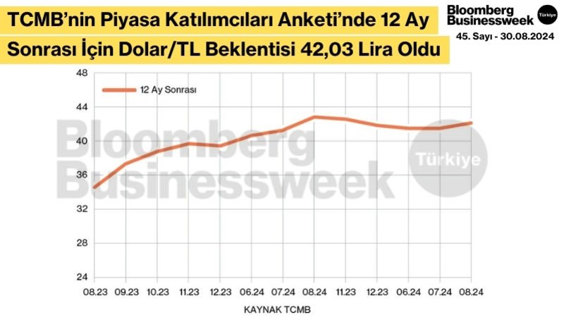 TCMB Piyasa Katılımcıları Anketi'nde 12 Ay Sonrası İçin Dolar/TL Beklentisi 42,03 Lira Oldu