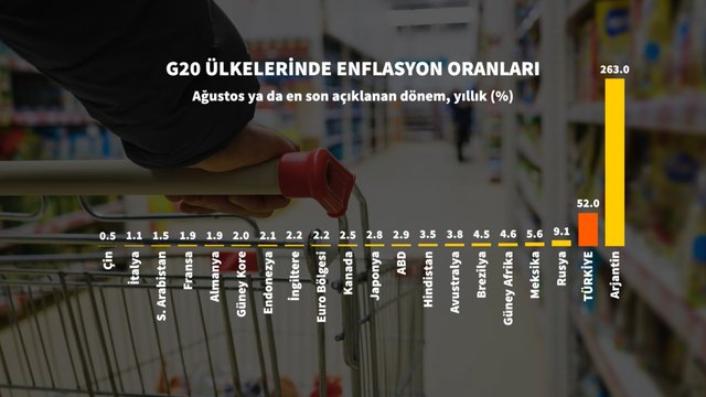 Grafiklerle Ağustos ayı enflasyonu