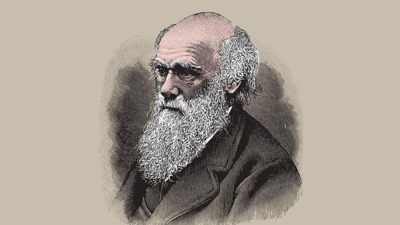 Darwin: Teknoloji ve Gelecek