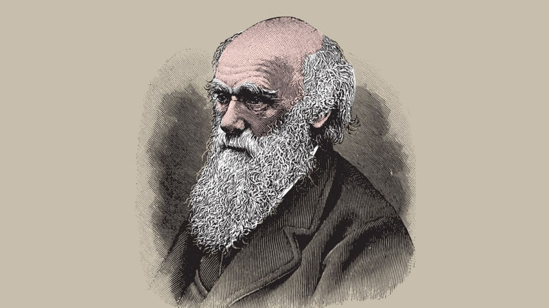 Darwin: Teknoloji ve Gelecek