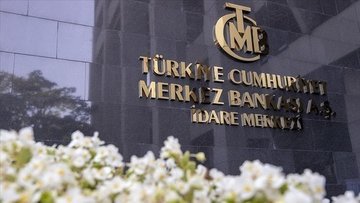 TCMB rezervlerinde yine rekor