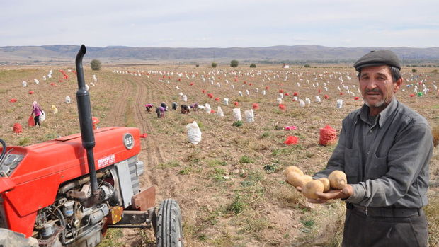 Tarımda üretici enflasyonu Eylül'de aylık yükselişini sürdürdü