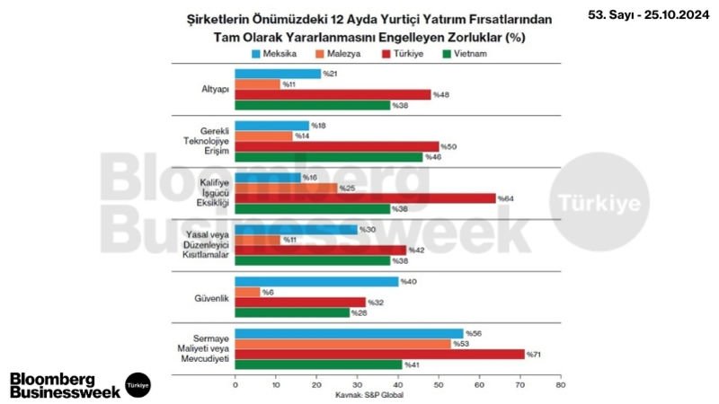 Şirketlerin Önümüzdeki 12 Ayda Yurtiçi Yatırım Fırsatlarıından Tam Olarak Yararlanmasını Engelleyen Zorluklar (%)